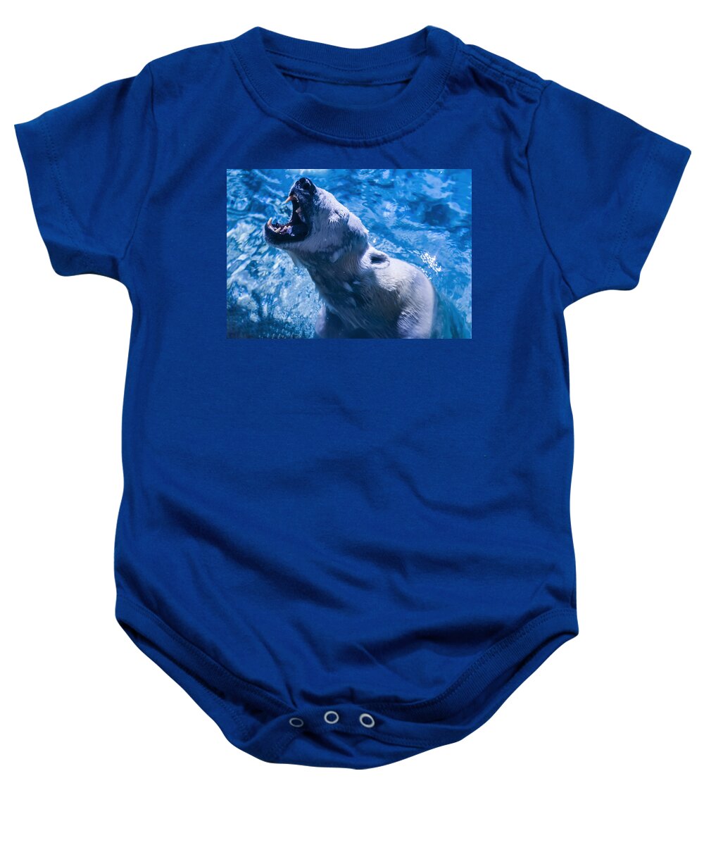 Polar Bears Baby Onesie featuring the photograph Polar Bear by Flees Photos