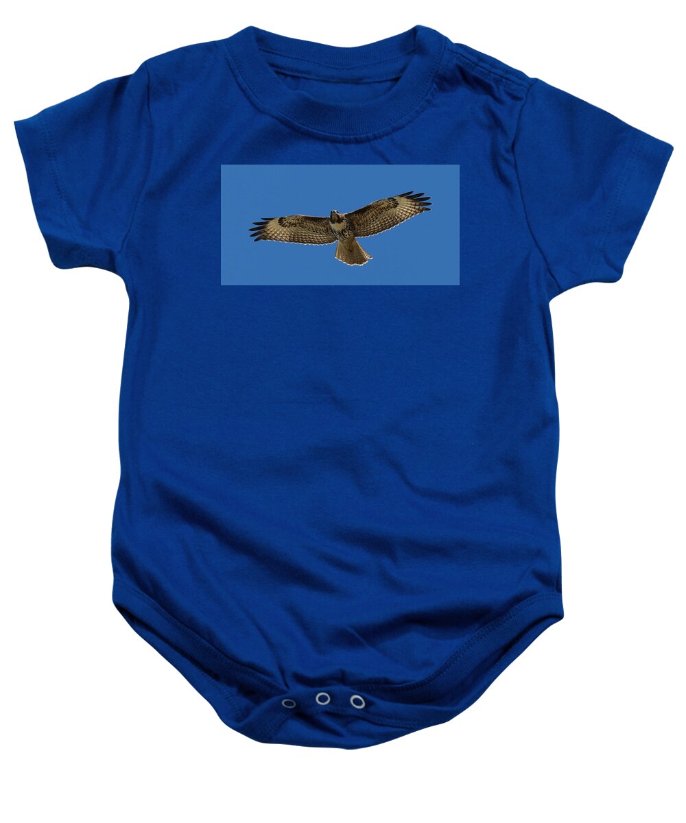 Hawk Baby Onesie featuring the photograph Spread Your Wings by Christy Pooschke