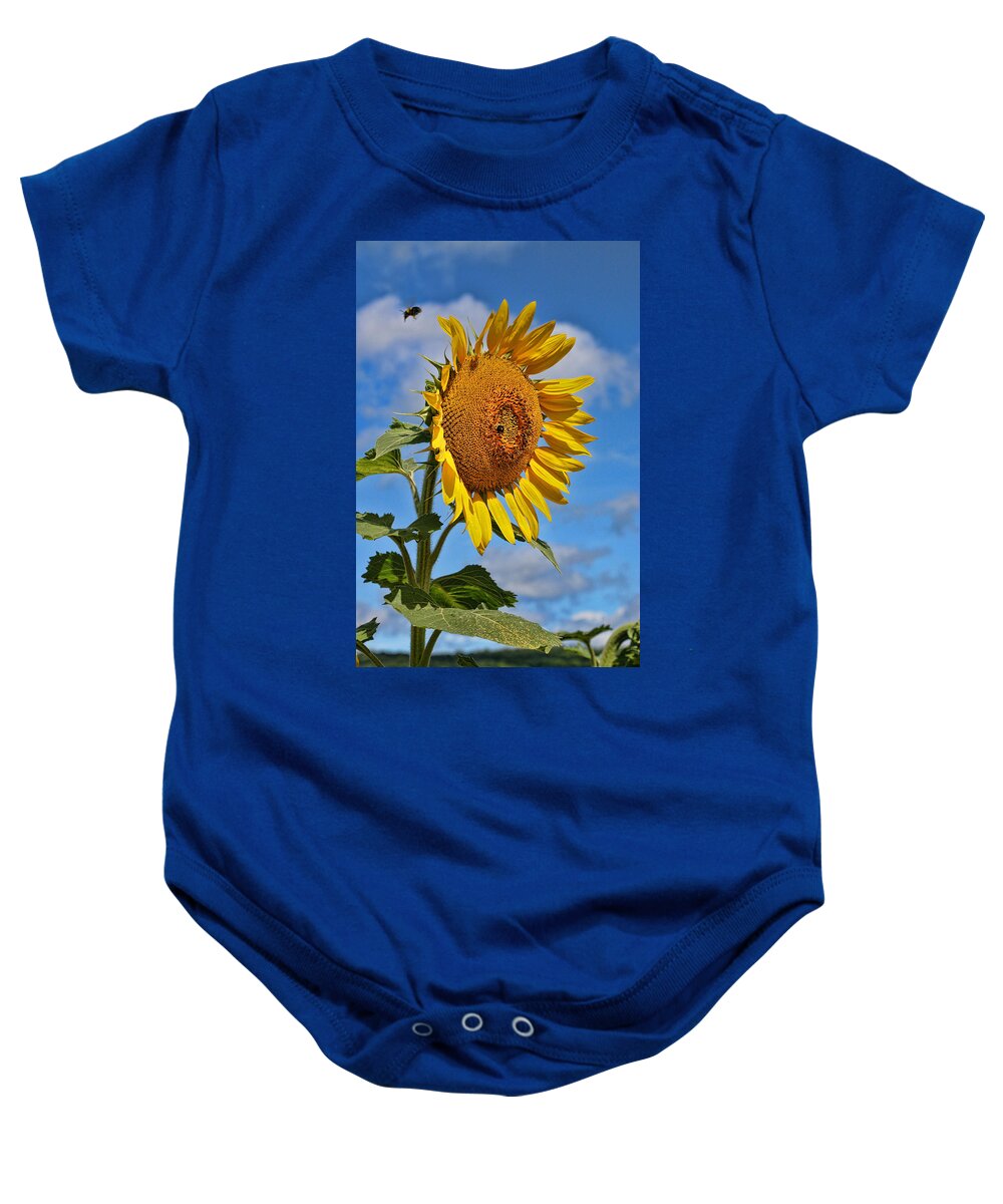 Yellow Baby Onesie featuring the photograph Sunflower Nirvana 20 by Allen Beatty