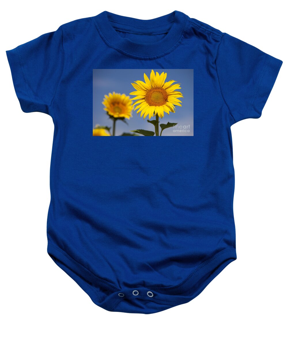 Bloom Baby Onesie featuring the photograph Sunflowers by Brian Jannsen
