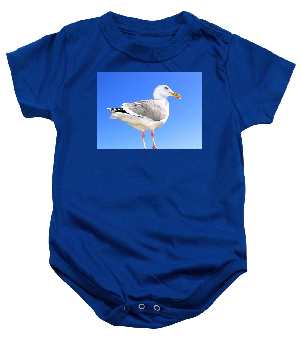 The Admiral 2 Baby Onesie featuring the photograph The Admiral 2 by Will Borden
