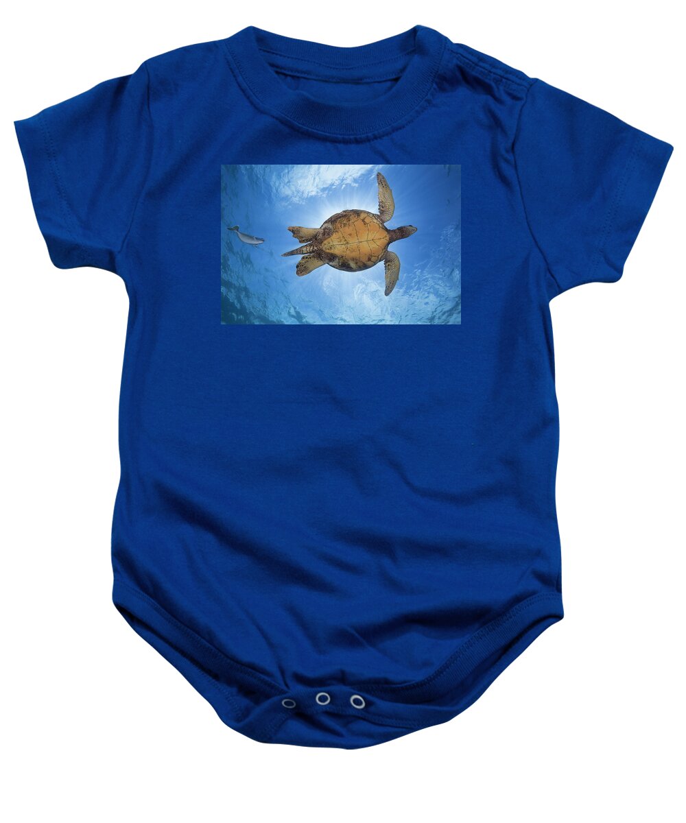 Blue Baby Onesie featuring the photograph This Male Green Sea Turtle Chelonia by Dave Fleetham
