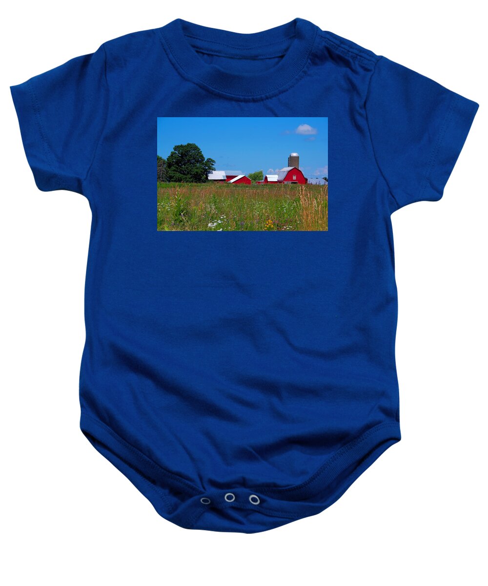Field Baby Onesie featuring the photograph Touch of Color by Dave Files