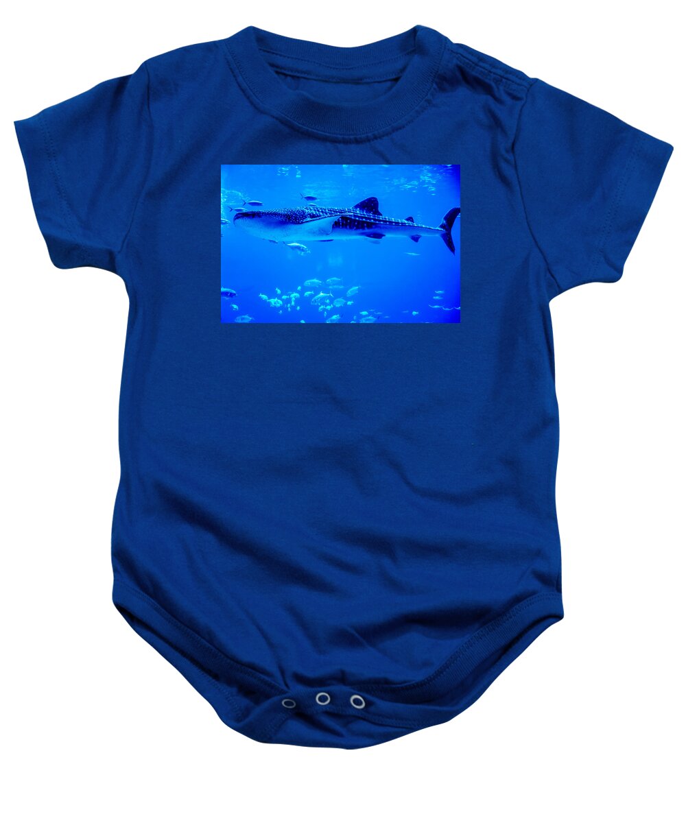 Animal Baby Onesie featuring the photograph Whale Sharks Swimming In Aquarium With People Observing by Alex Grichenko