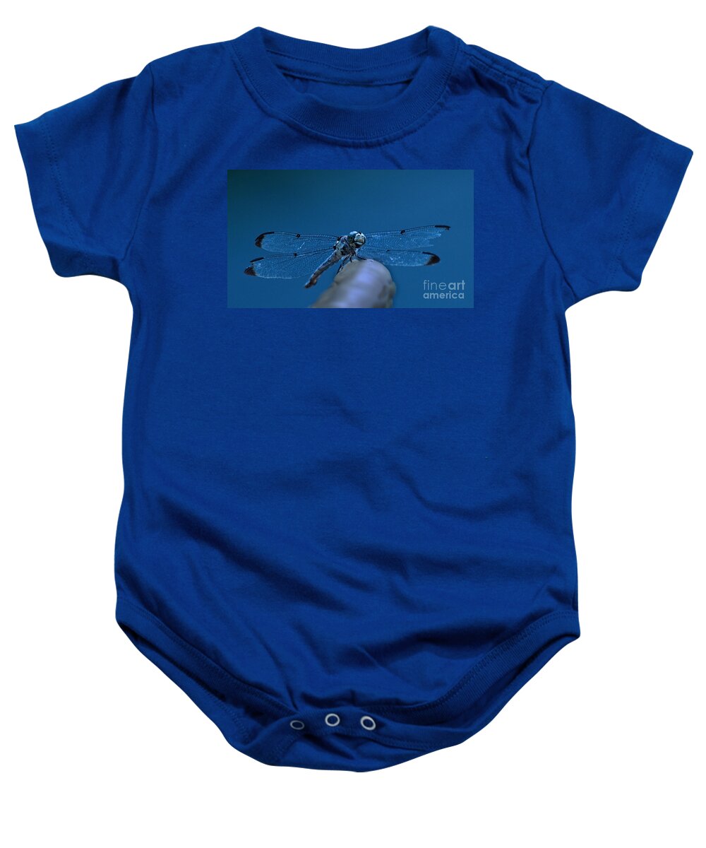 Jemmy Archer Baby Onesie featuring the photograph With a Broken Wing by Jemmy Archer