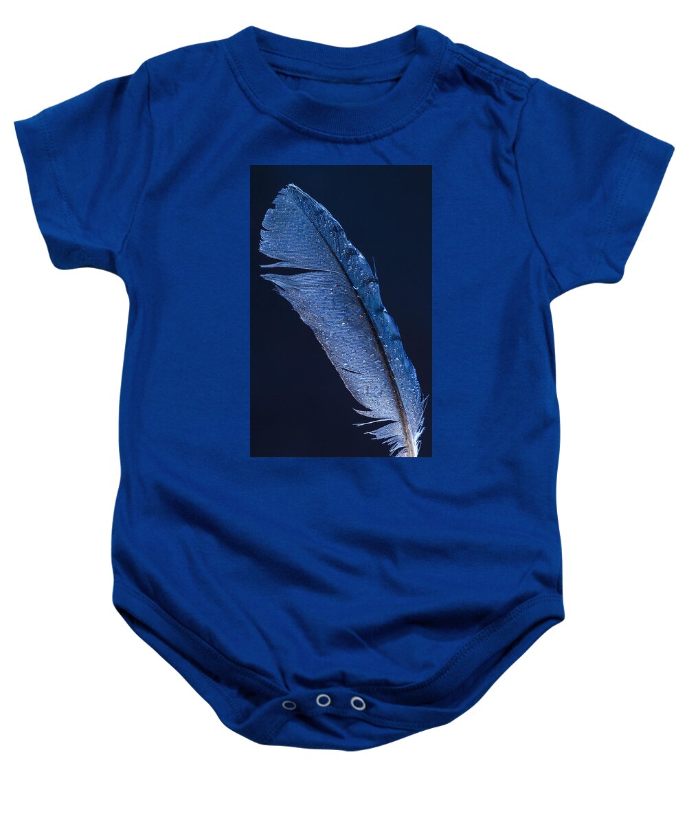 Wet Jay Baby Onesie featuring the photograph Wet Jay by Jean Noren