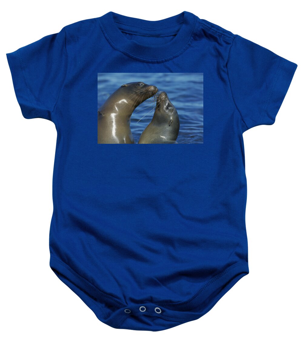 00143574 Baby Onesie featuring the photograph Galapagos Sea Lions by Tui De Roy