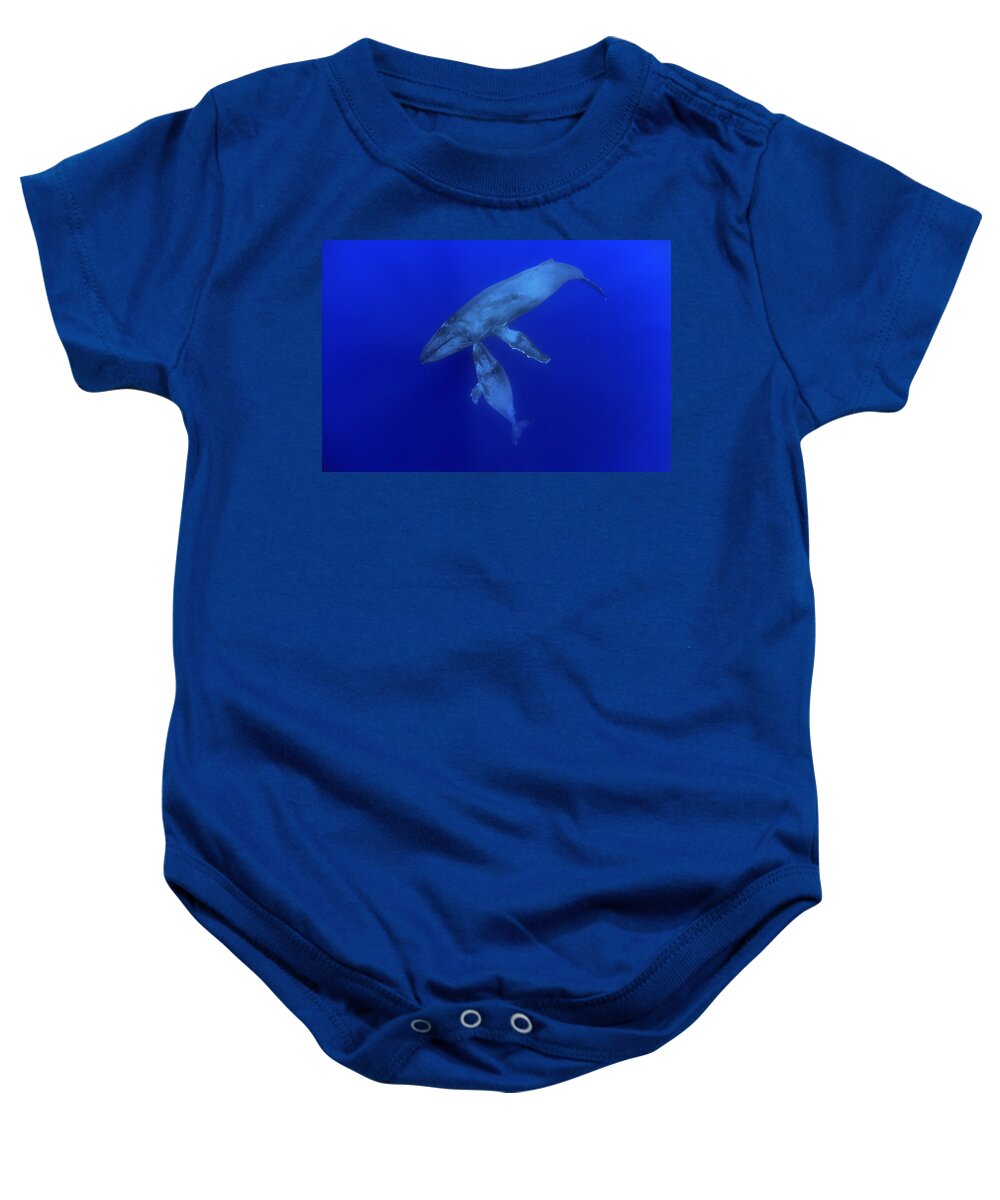 00999164 Baby Onesie featuring the photograph Humpback Whale Mother And Yearling Maui by Flip Nicklin