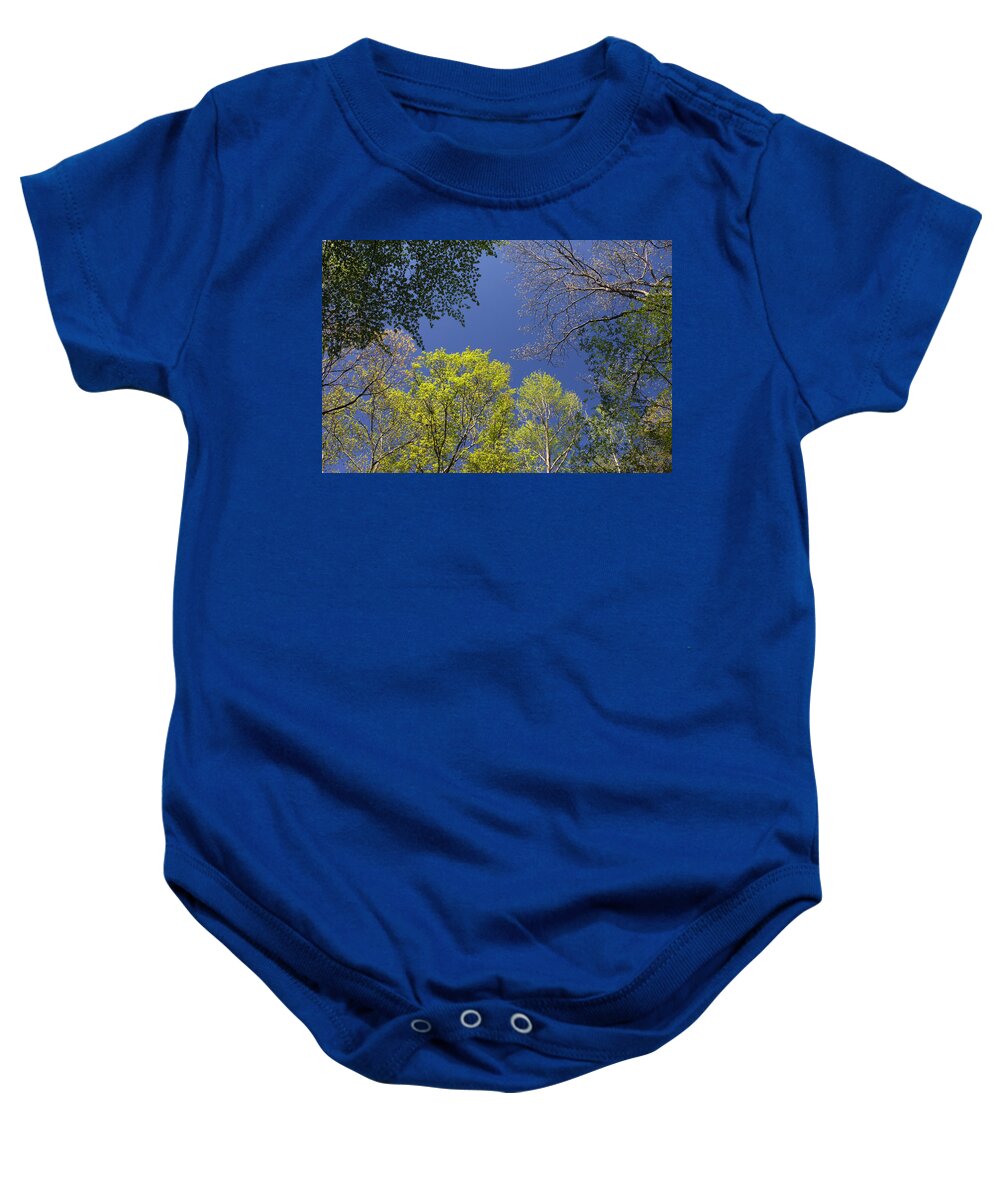 Tree Baby Onesie featuring the photograph Looking Up In Spring by Daniel Reed