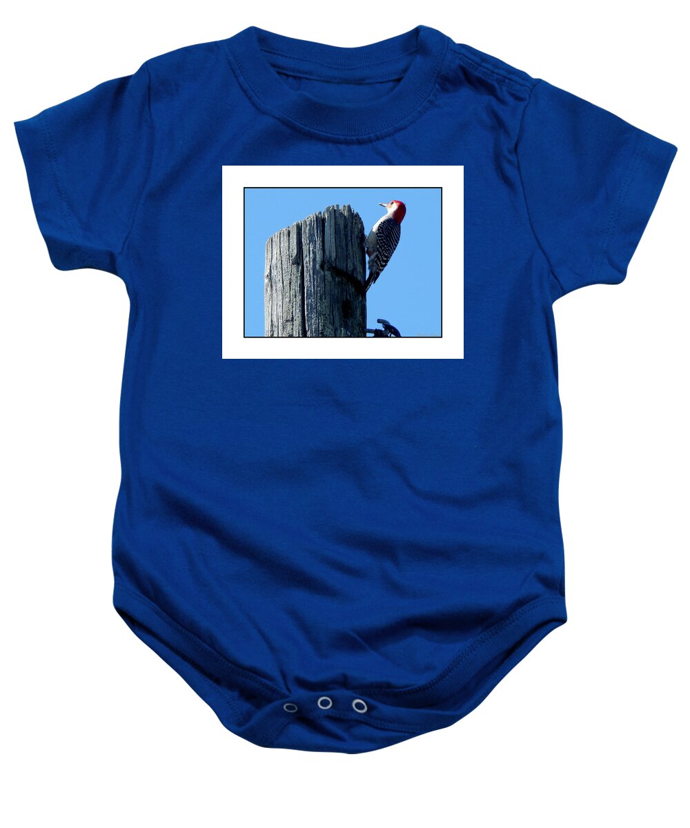 Barbara Tristan Baby Onesie featuring the photograph #8668 Woodpecker #8668 by Barbara Tristan