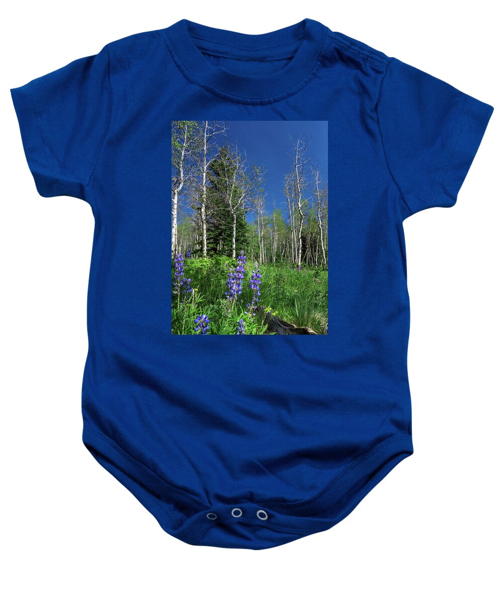 Aspens Baby Onesie featuring the photograph Aspens in the Rockies by Ron Pate