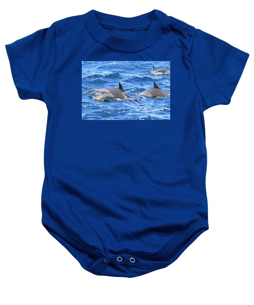 Dolphin Baby Onesie featuring the photograph Baby Common Dolphin by Shoal Hollingsworth