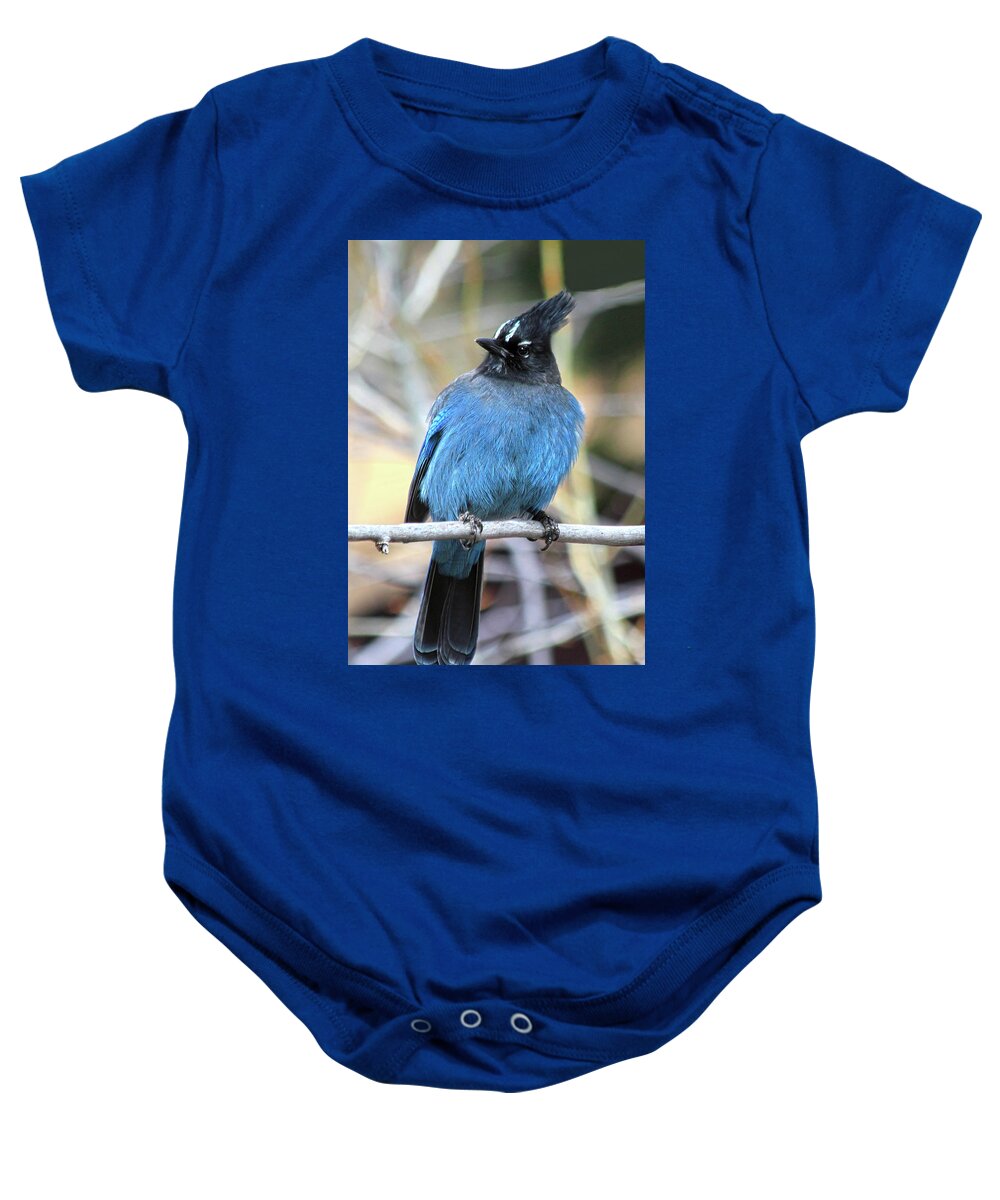 Steller's Jay Baby Onesie featuring the photograph Big Blue by Shane Bechler