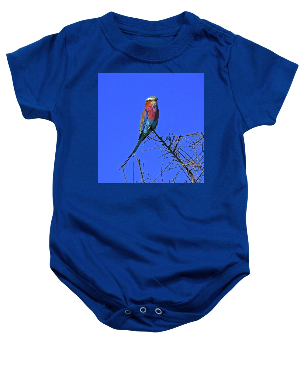 Bird Baby Onesie featuring the photograph Bird - Lilac-breasted Roller by Richard Krebs