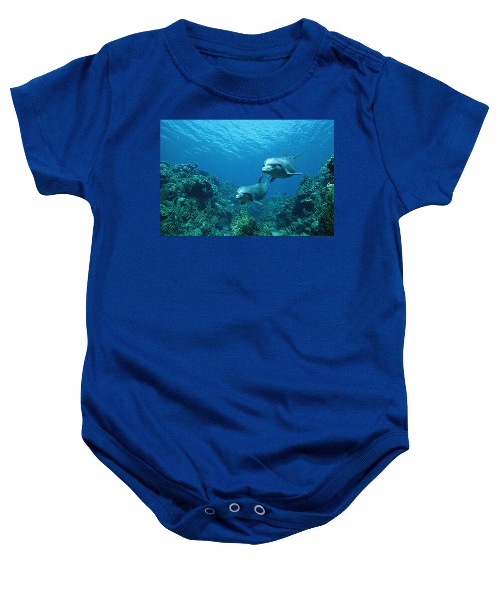Mp Baby Onesie featuring the photograph Bottlenose Dolphins and Coral Reef by Konrad Wothe