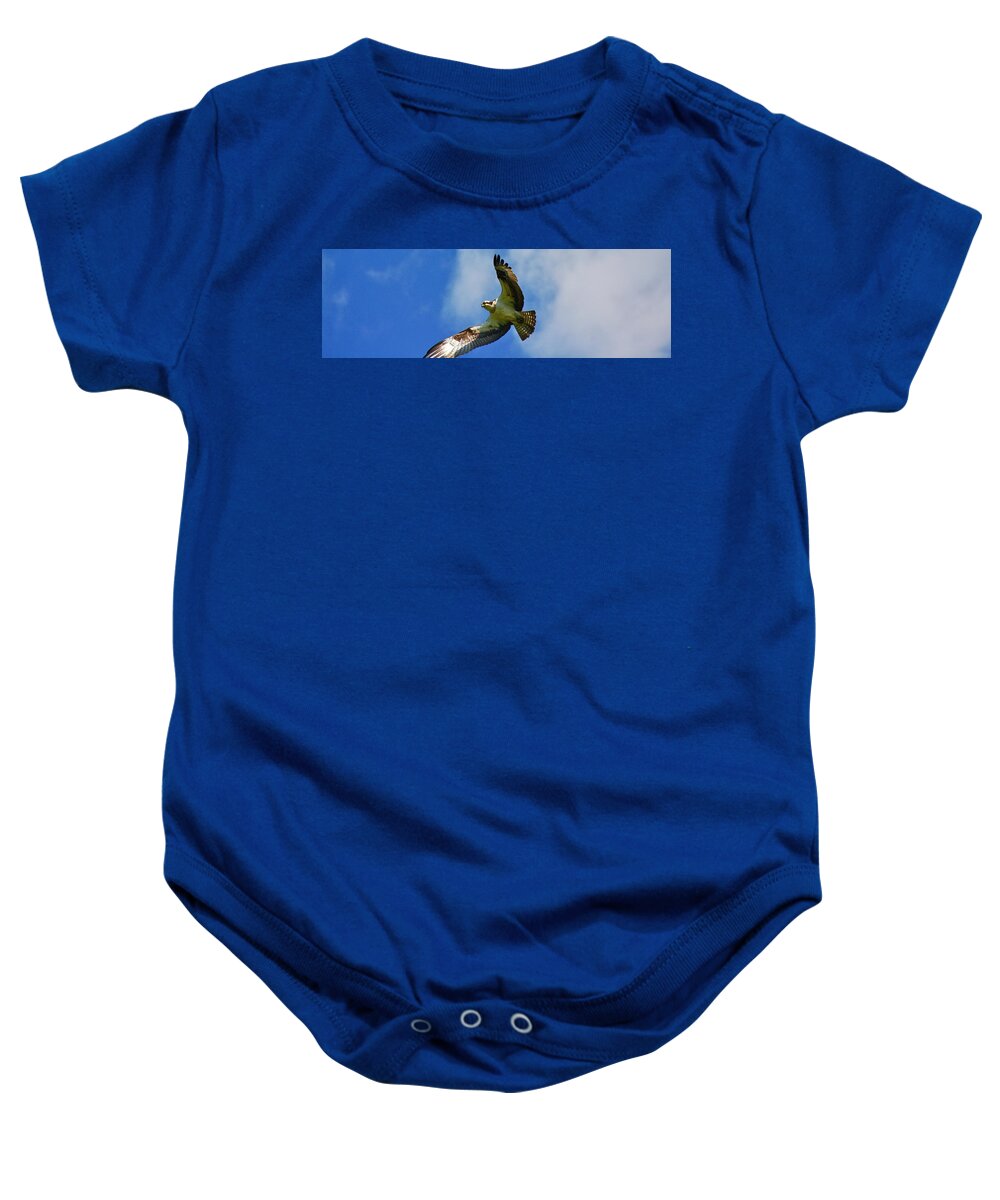 Bird Baby Onesie featuring the photograph In his sites by Shawn M Greener
