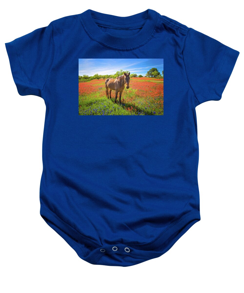 Texas Hill Country Baby Onesie featuring the photograph Living in the Land of Oz by Lynn Bauer