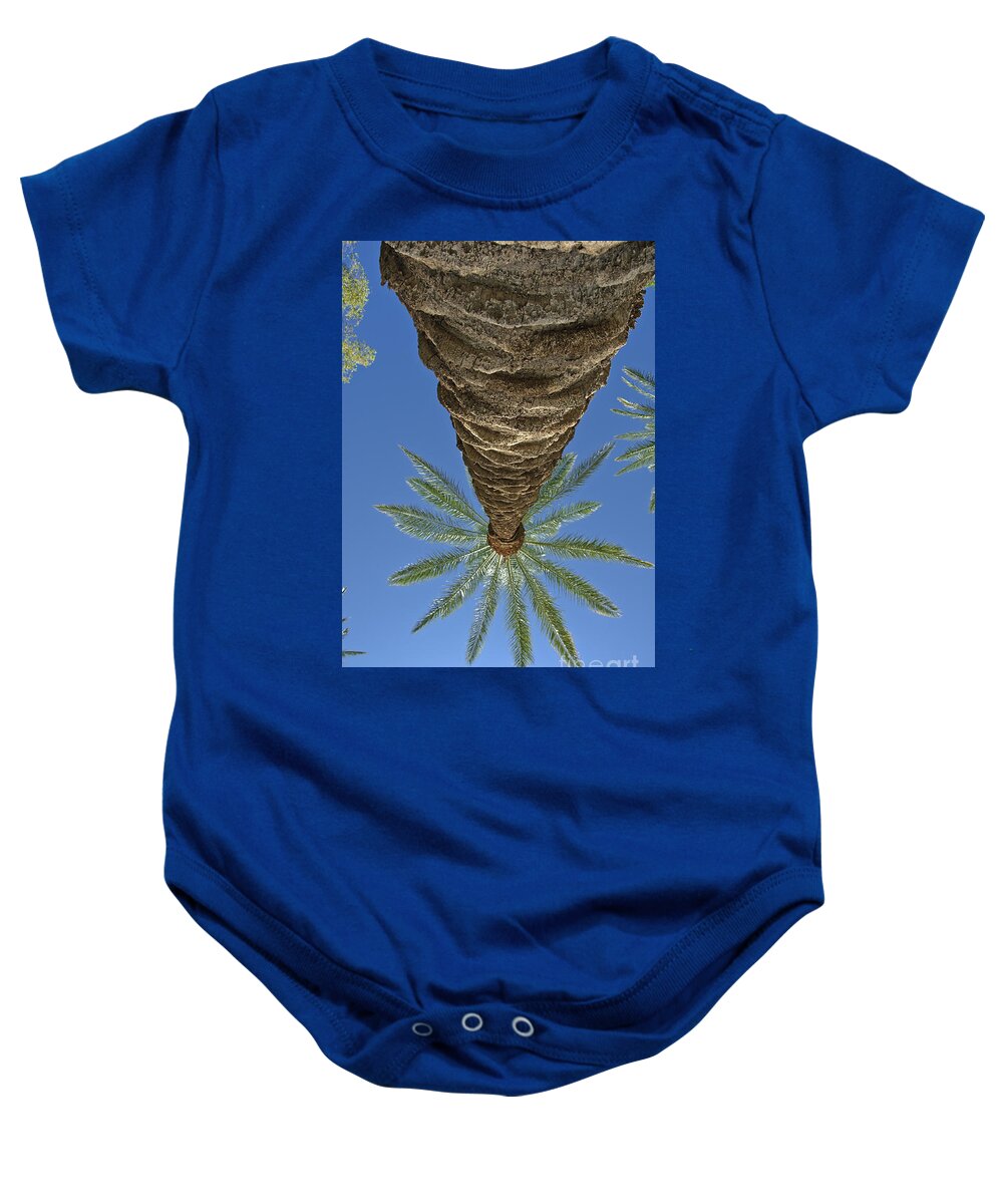 Palm Tree Looking Up Baby Onesie featuring the photograph Palm Trees Looking Up 4 by David Zanzinger