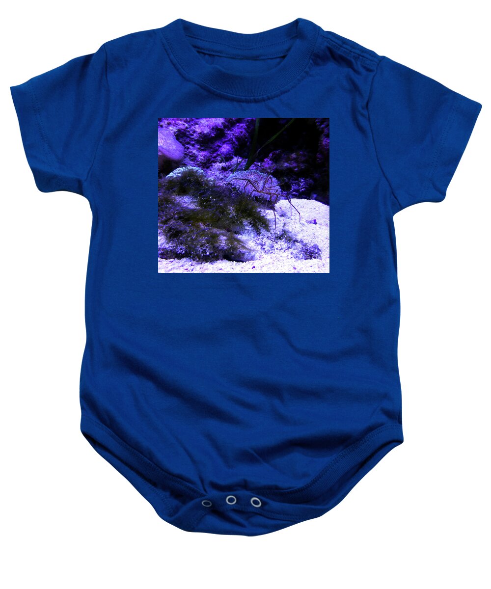 Sea Spider Baby Onesie featuring the photograph Sea Spider by Francesca Mackenney