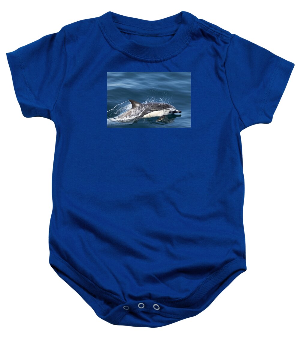 Dolphin Baby Onesie featuring the photograph Short Beaked Common Dolphin by Deana Glenz