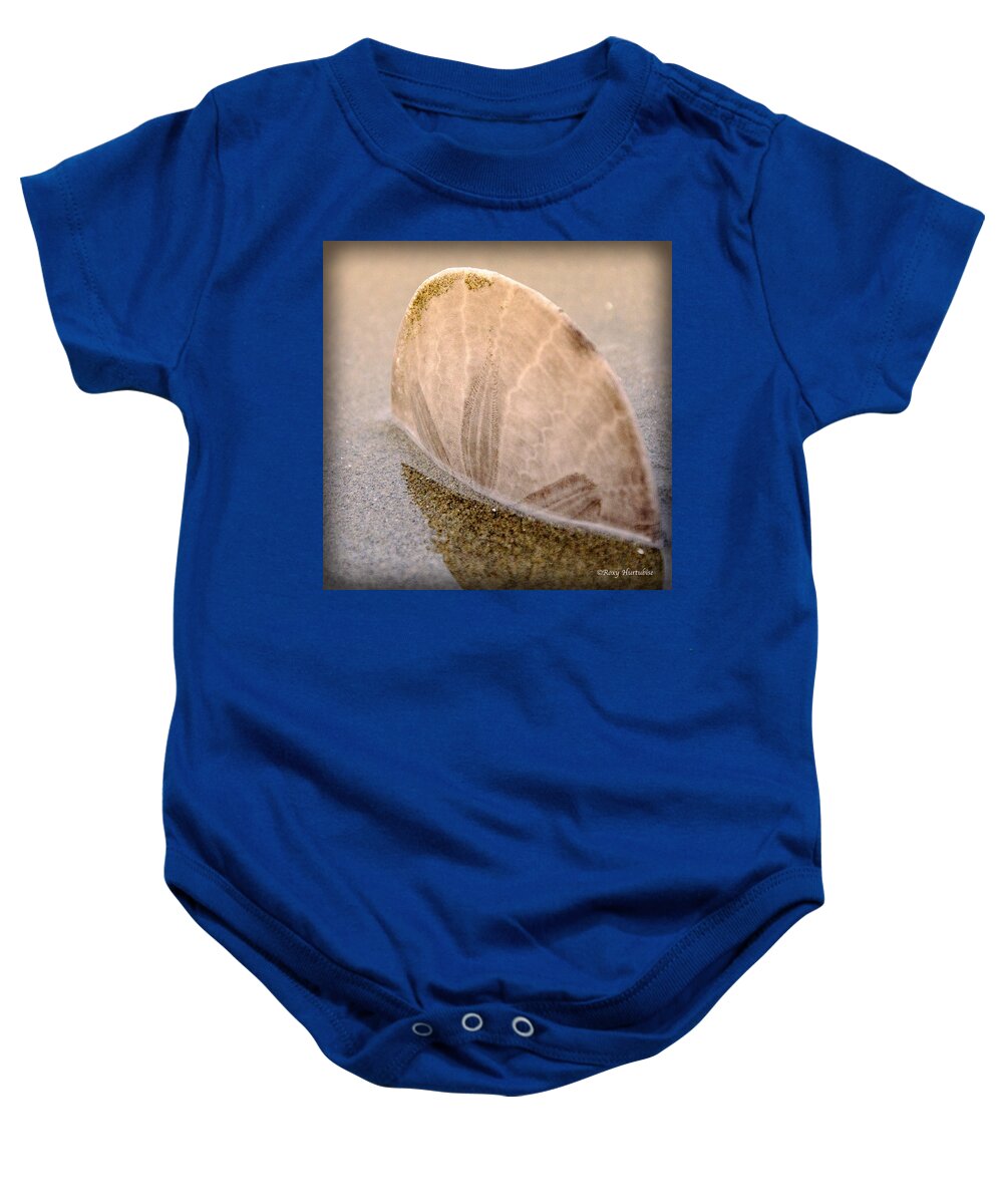 Sand Dollar Baby Onesie featuring the photograph Standing in the Glow by Roxy Hurtubise