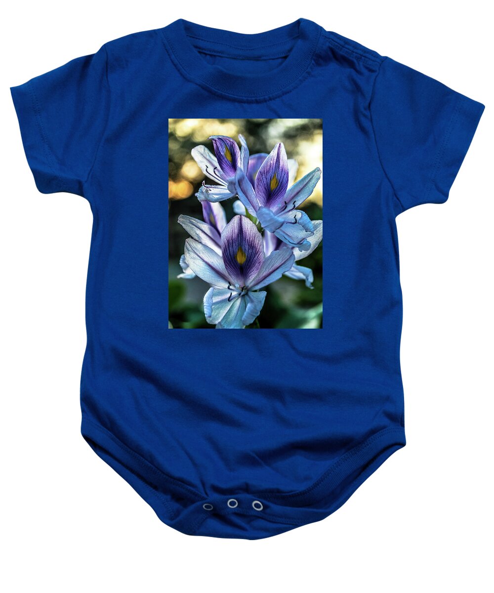 Lilies Baby Onesie featuring the photograph Tropical Oldies by Miguel Winterpacht