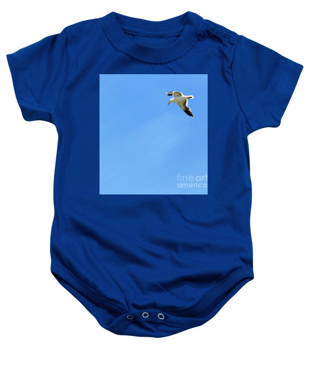 Adult Baby Onesie featuring the photograph Adult Western gull seagull flying gliding soaring Larus Occident #1 by Robert C Paulson Jr