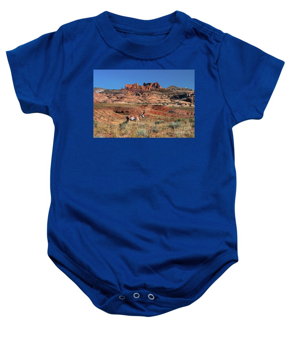 Dave Welling Baby Onesie featuring the photograph Male Pronghorn Antilocarpa Americana Wild Utah by Dave Welling