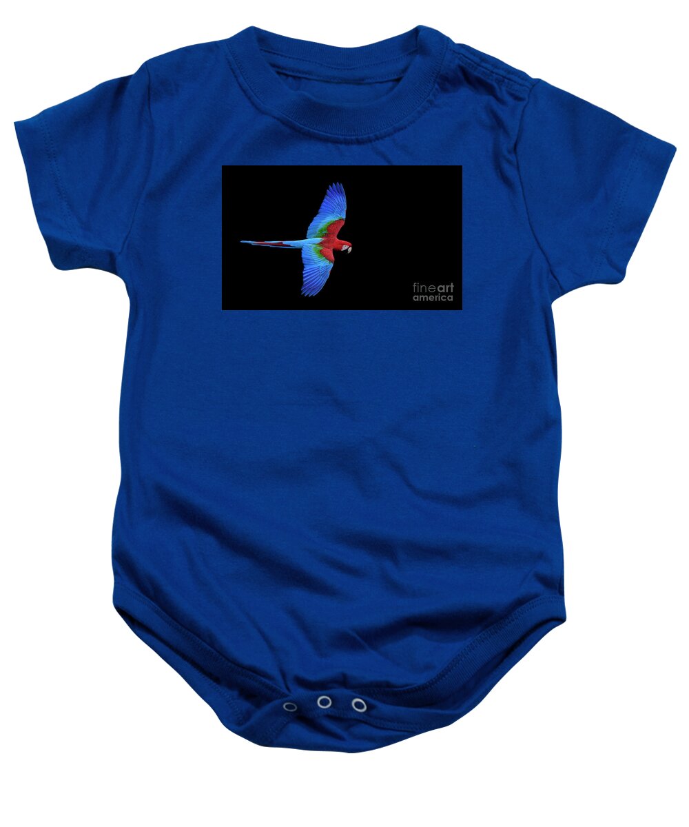 Brazil Baby Onesie featuring the photograph Red and Green Macaw by Patrick Nowotny