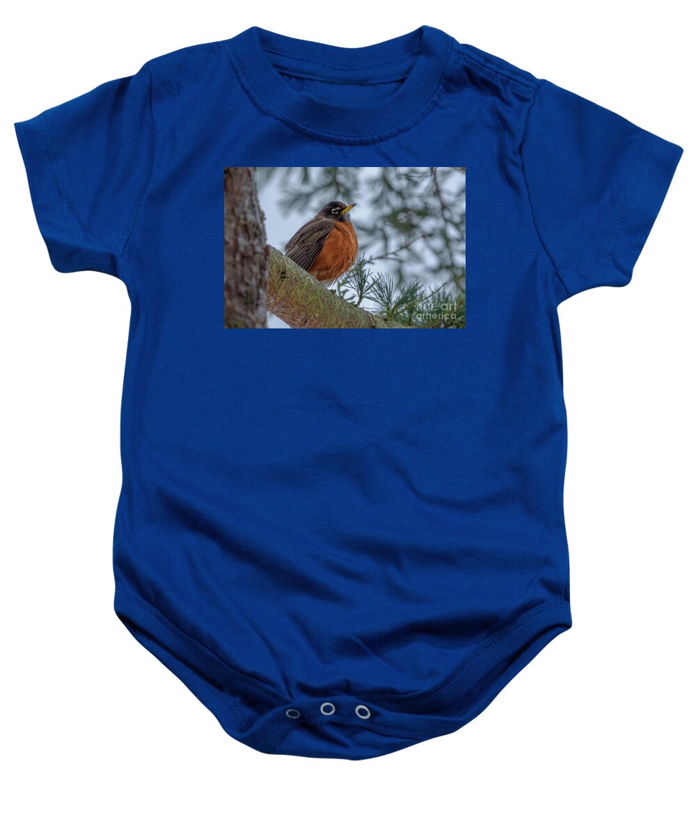 American Robin Baby Onesie featuring the photograph American Robin in Cedar Deodar Tree by Nancy Gleason