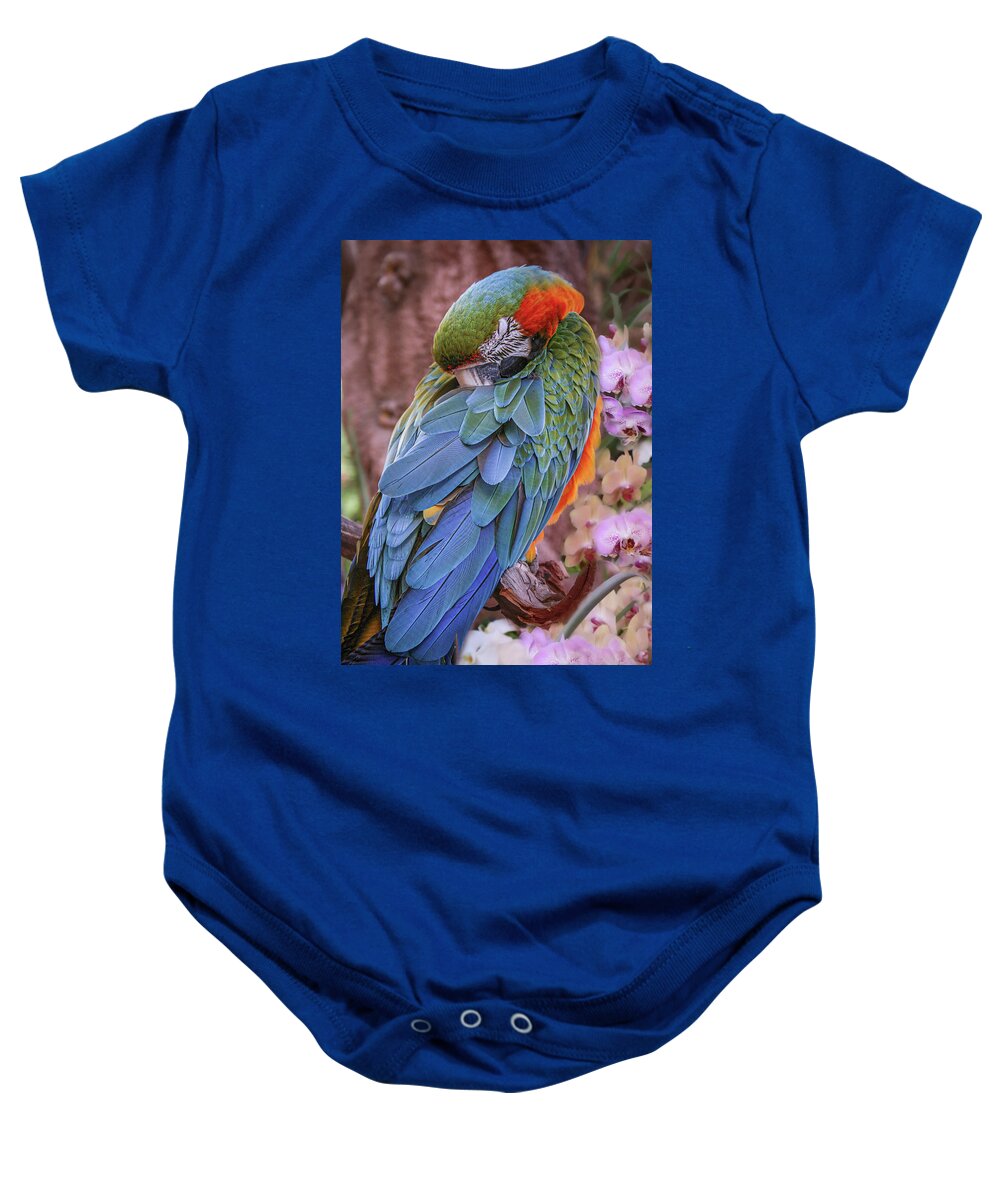 Macaw Baby Onesie featuring the photograph Blue and Yellow Macaw by Sally Bauer