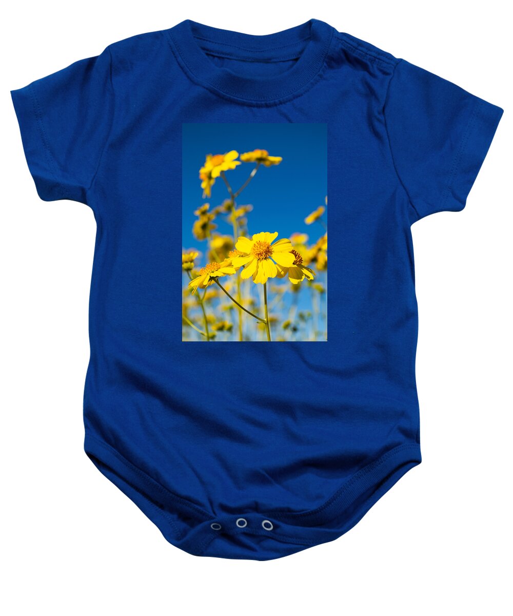 Flower Baby Onesie featuring the photograph Blue Sky and Brittlebush by Bonny Puckett