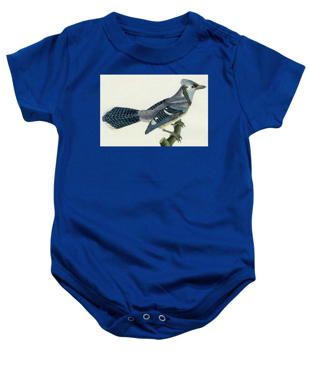 Crested blue jay, drawn in 1800s for Complete Works of 1700s French  scientist Comte de Buffon Baby Onesie