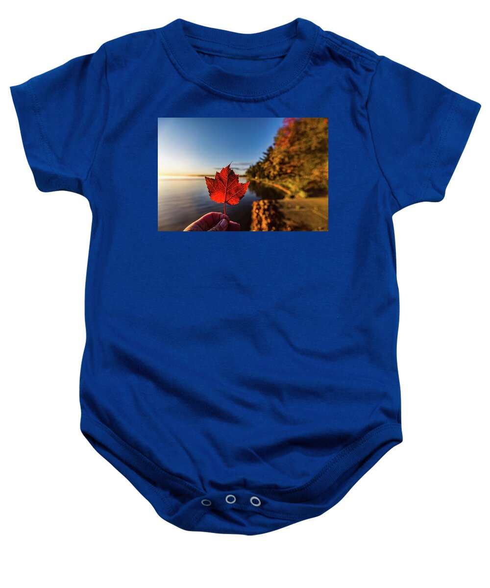 Fall Baby Onesie featuring the photograph Fall at Higgins Lake by Joe Holley
