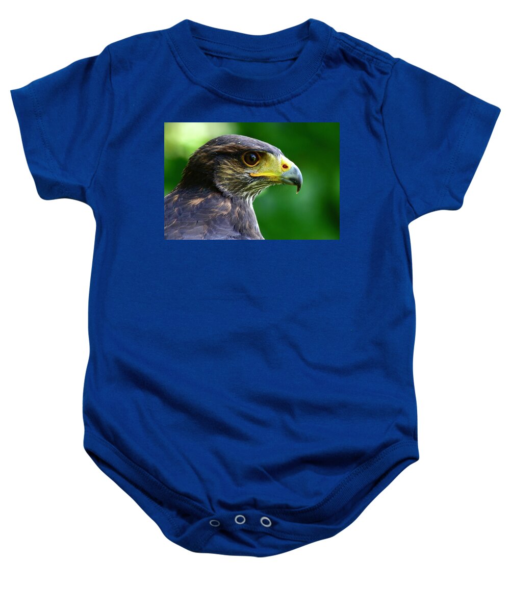Bird Of Prey Baby Onesie featuring the photograph Goshawk In Profile by Neil R Finlay