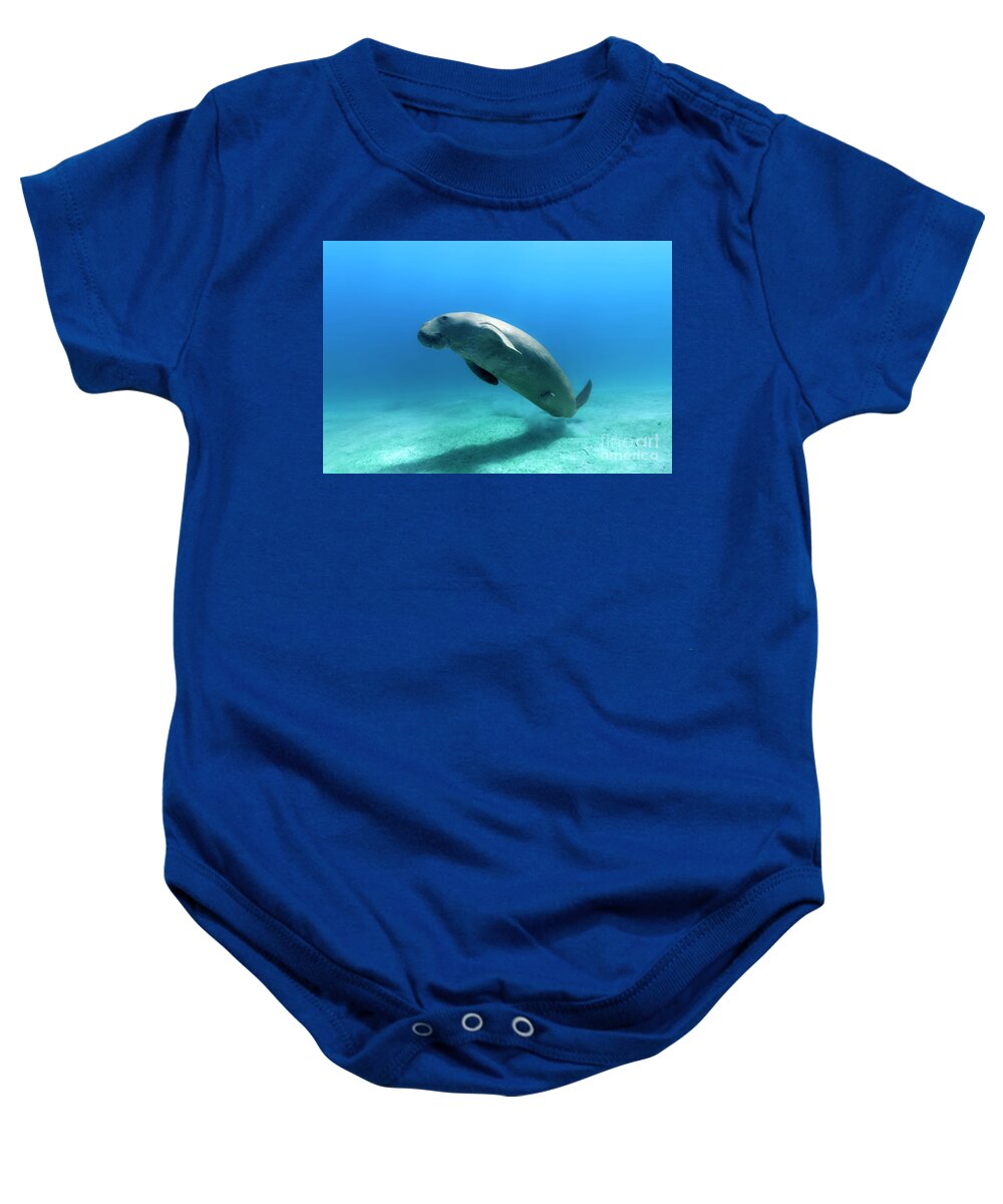 Sea Cow Baby Onesie featuring the photograph Dugong Dugon by Norbert Probst