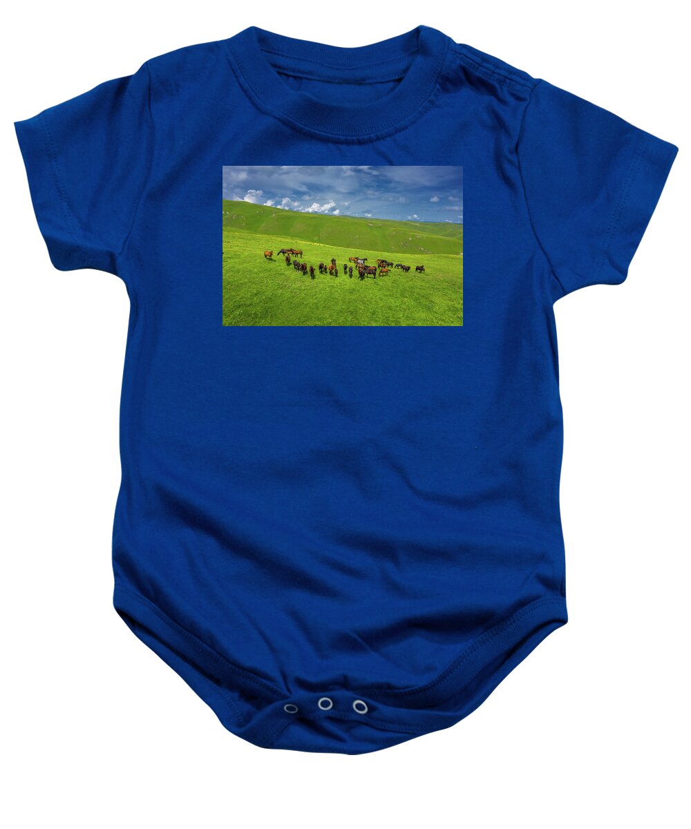 Horse Baby Onesie featuring the photograph Herd Of Horses Grazing On Slope Meadow by Mikhail Kokhanchikov