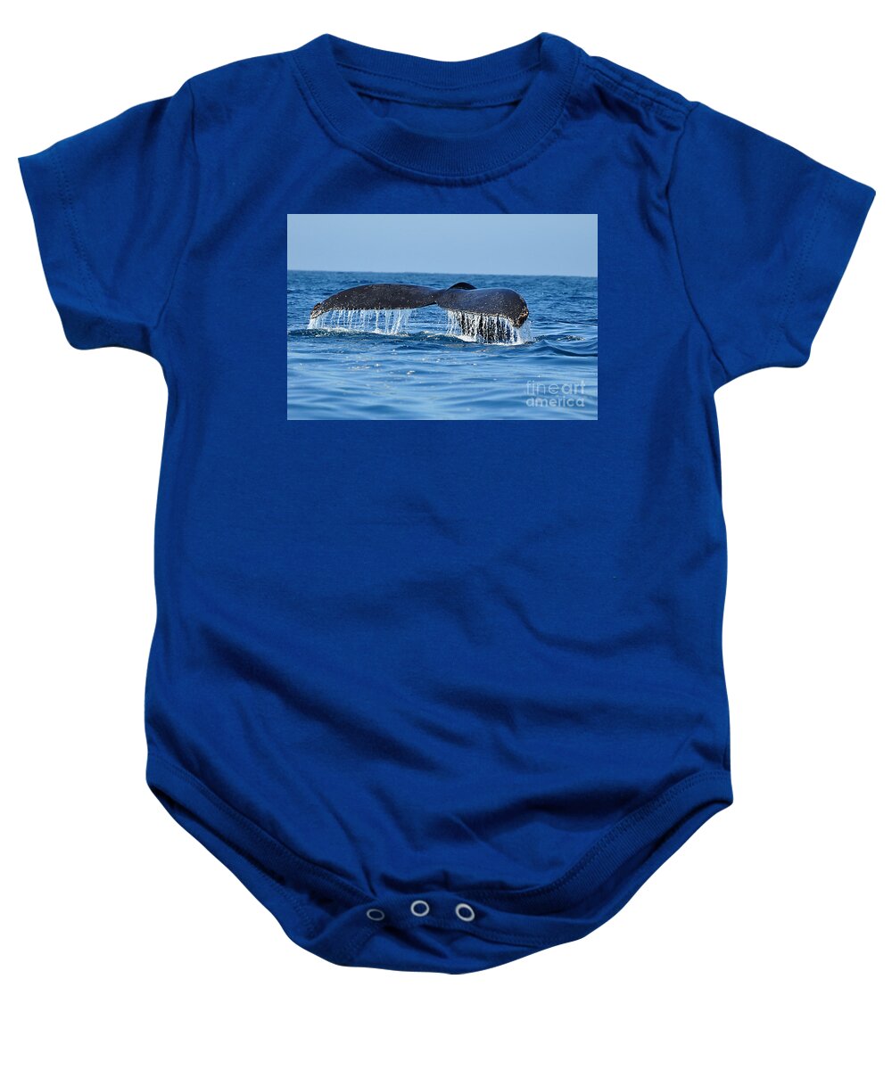Fluke Baby Onesie featuring the photograph Humpback Tail by Ed Stokes