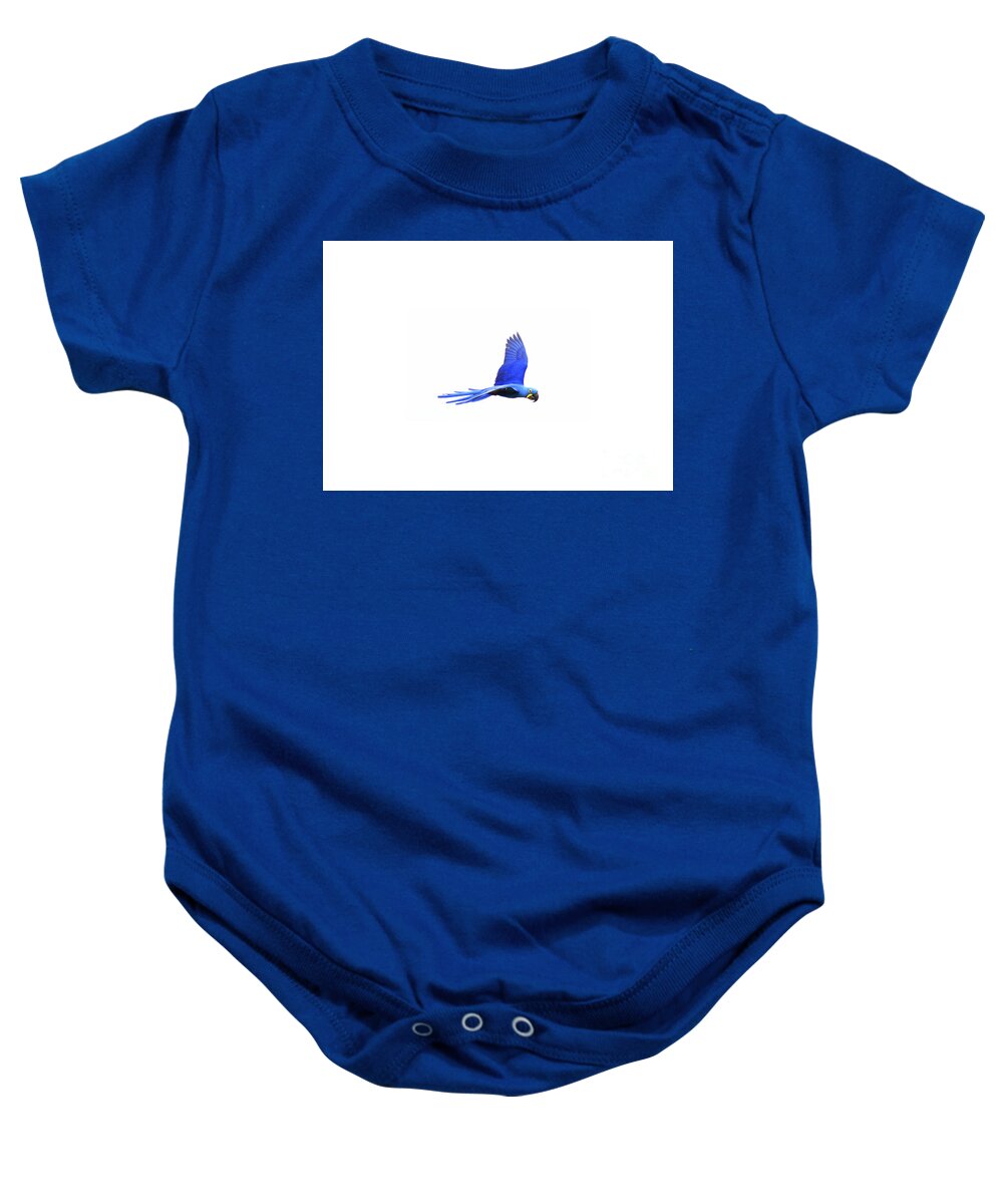 Hyacinth Baby Onesie featuring the photograph In flight 2of3 by Patrick Nowotny