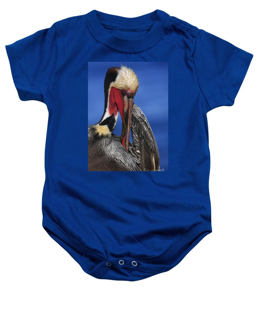 Pelicans Baby Onesie featuring the photograph Pelican In Breeding Colors by John F Tsumas