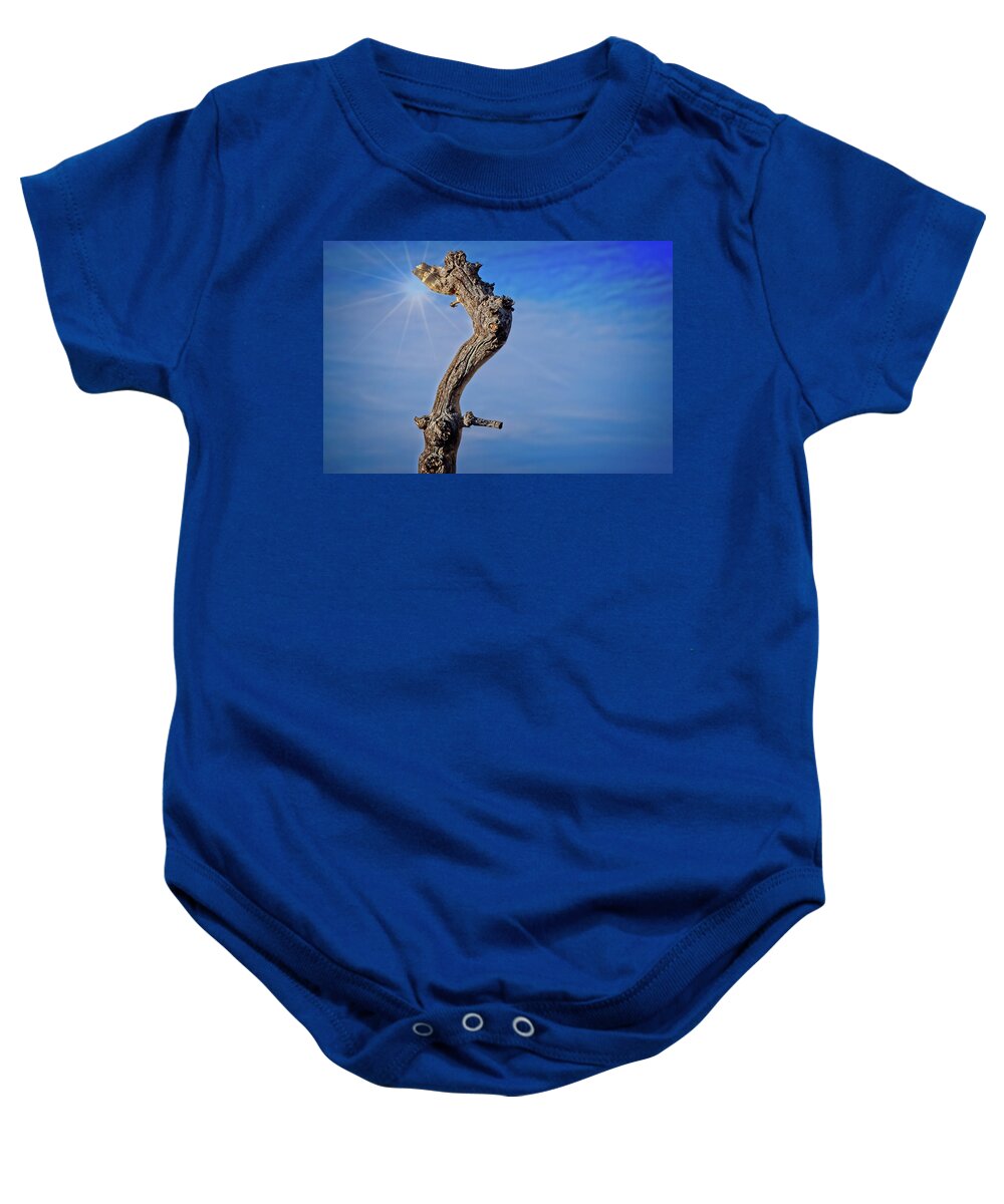 Growth Baby Onesie featuring the photograph Pinyon Trunk Against A Blue Sky by David Desautel
