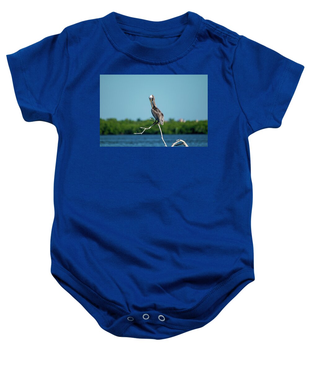 Brown Pelican Baby Onesie featuring the photograph Preening Brown Pelican by Mary Ann Artz
