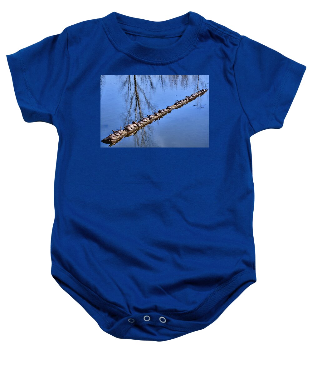 Faune Baby Onesie featuring the photograph Ranked turtles by Carl Marceau