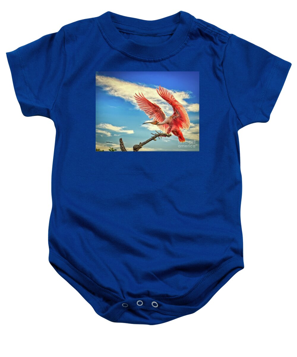 Birds Baby Onesie featuring the photograph Roseate Spoonbill by DB Hayes