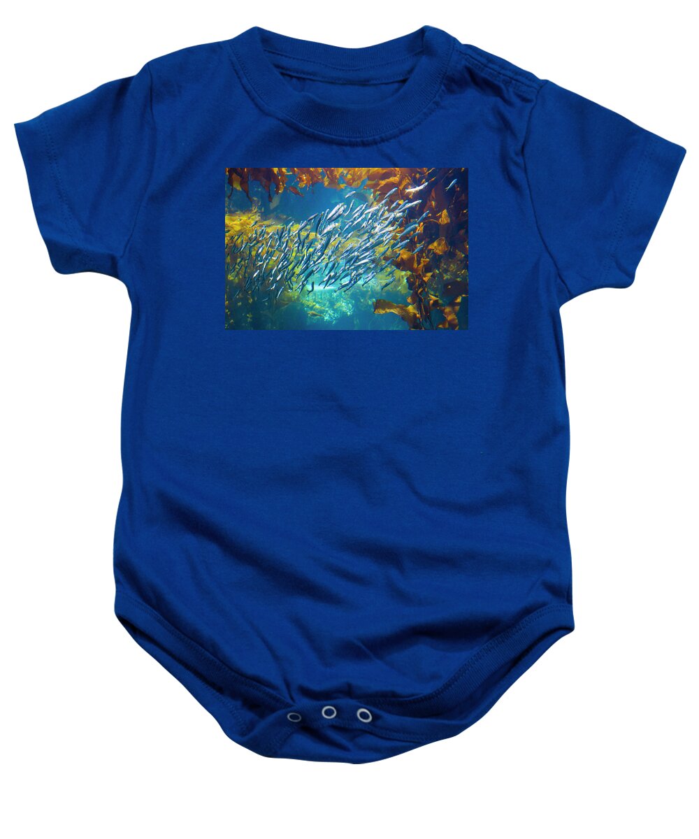 Sardines Baby Onesie featuring the photograph Sardines and Anchovies in Kelp by Bonnie Follett