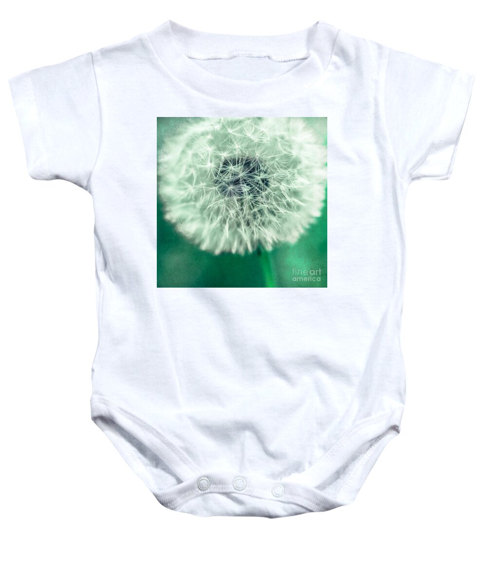 1x1 Baby Onesie featuring the photograph Blowball 1x1 by Hannes Cmarits