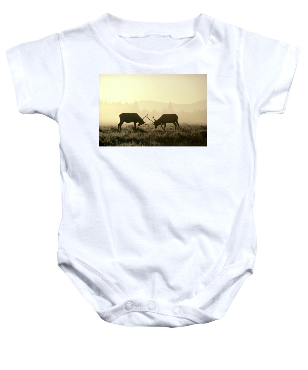 Feb0514 Baby Onesie featuring the photograph Elks Sparring Yellowstone Np Wyoming #1 by Michael Quinton