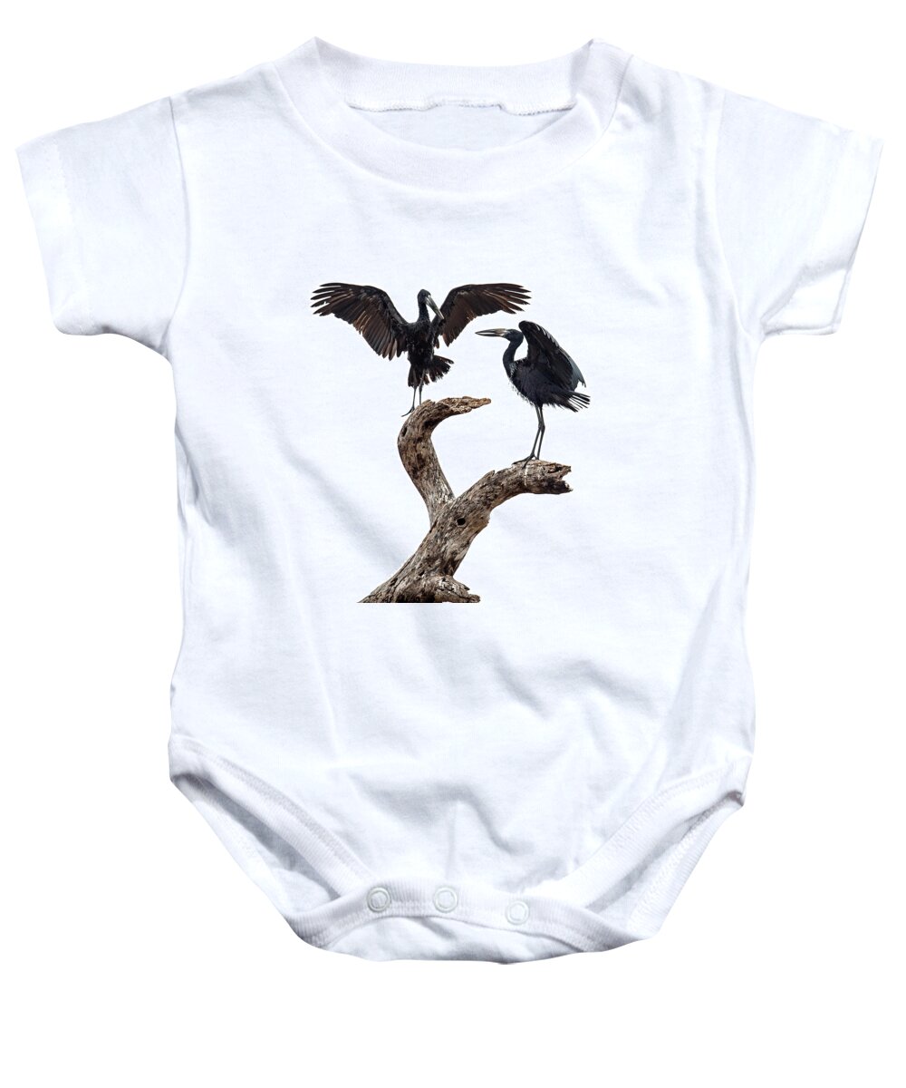 Photography Baby Onesie featuring the photograph Openbill Storks Perching On A Tree #1 by Panoramic Images