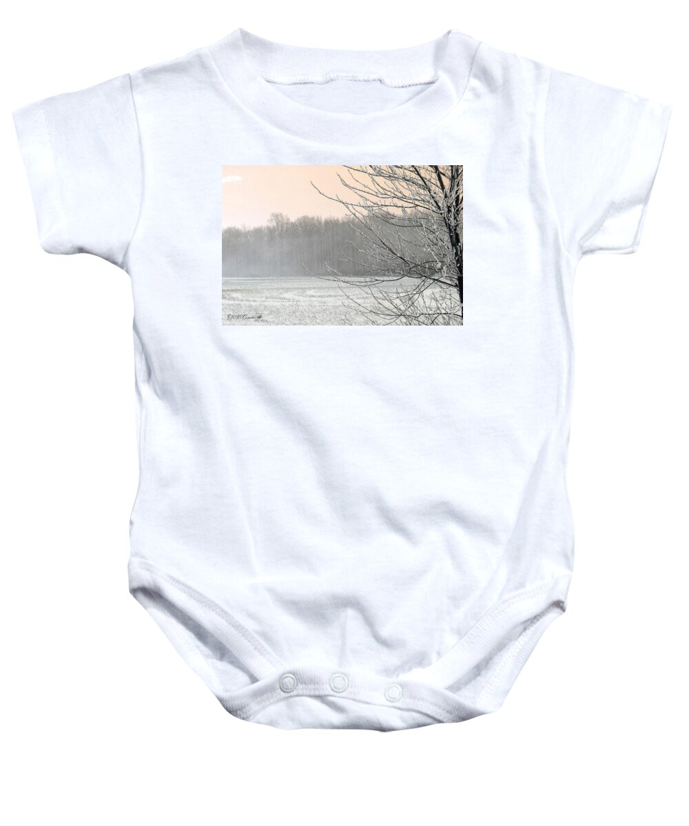 Mccombie Baby Onesie featuring the photograph Winter Woods #2 by J McCombie