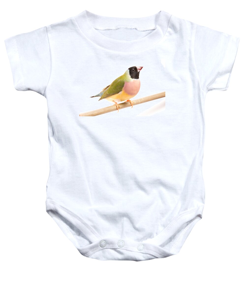 Animal Baby Onesie featuring the photograph Gouldian Finch Erythrura Gouldiae #4 by David Kenny